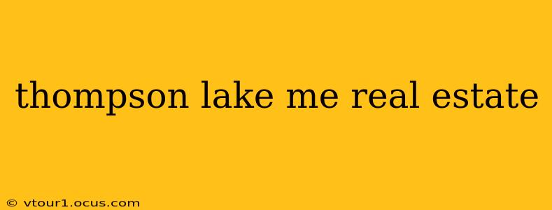 thompson lake me real estate