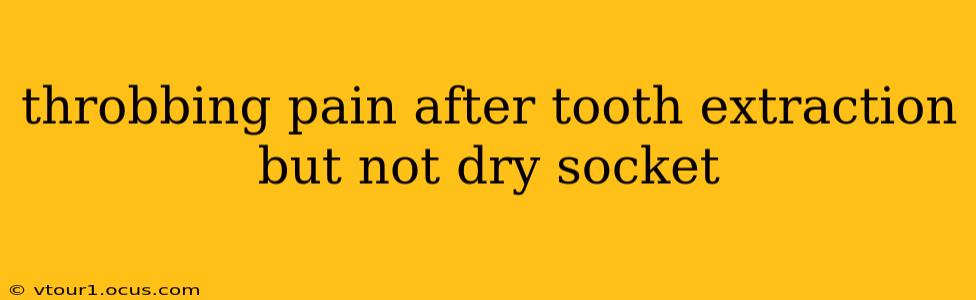 throbbing pain after tooth extraction but not dry socket