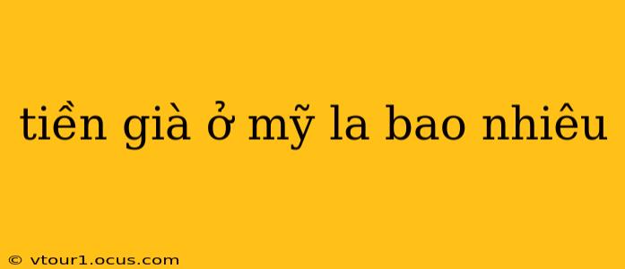 tiền già ở mỹ la bao nhiêu