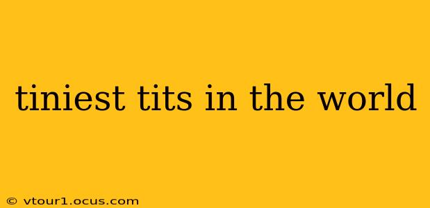 tiniest tits in the world tiniest tits in the world
