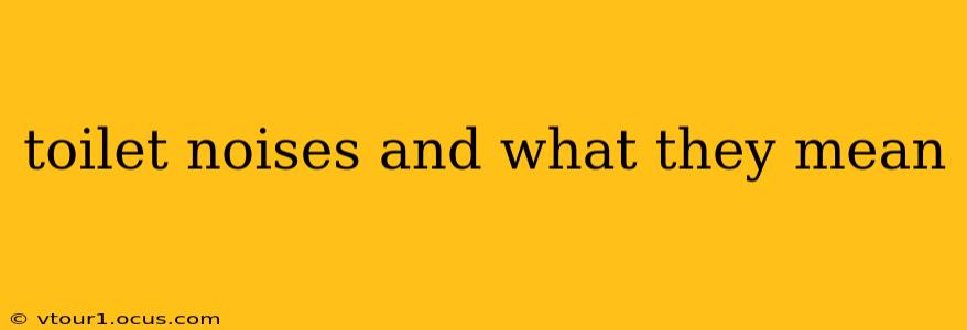 toilet noises and what they mean