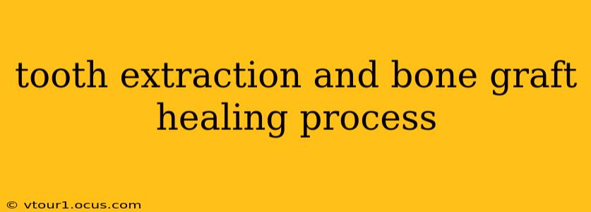 tooth extraction and bone graft healing process
