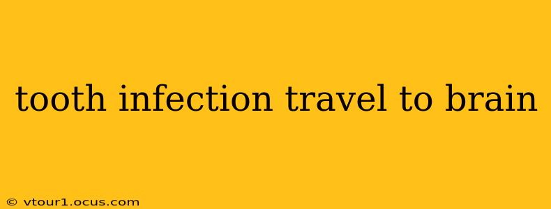 tooth infection travel to brain