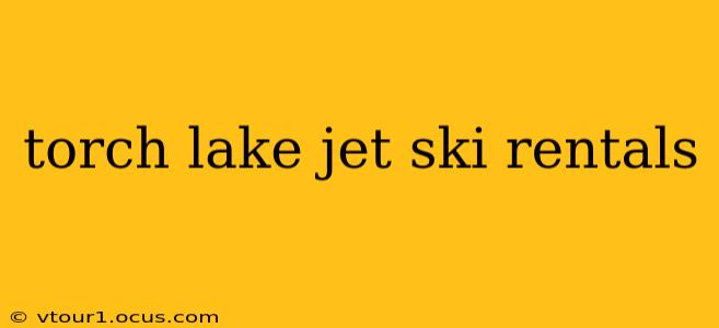 torch lake jet ski rentals