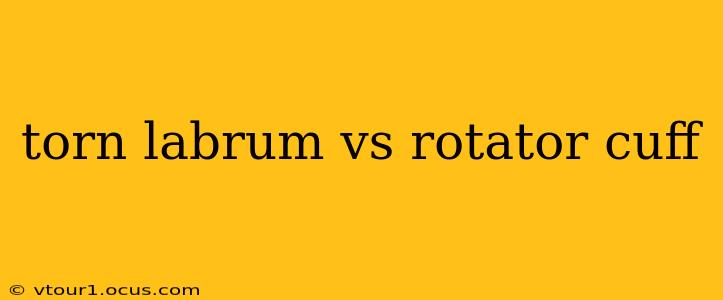 torn labrum vs rotator cuff