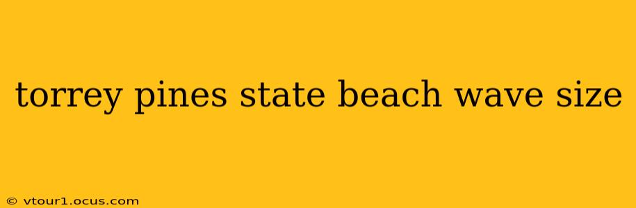 torrey pines state beach wave size