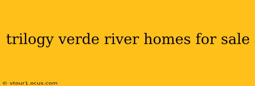 trilogy verde river homes for sale