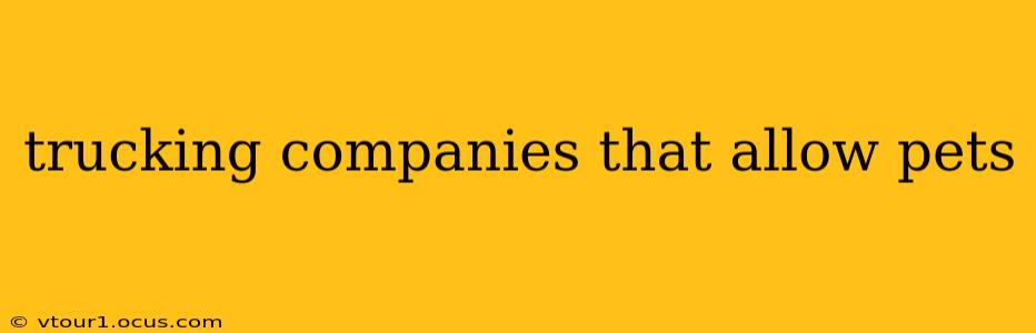 trucking companies that allow pets