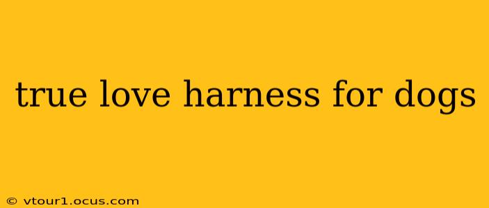 true love harness for dogs