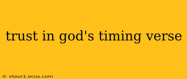 trust in god's timing verse