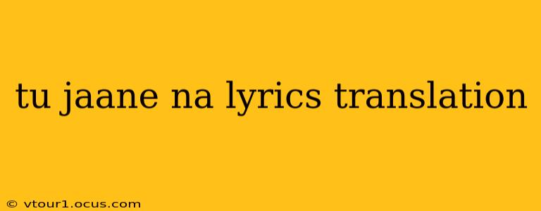 tu jaane na lyrics translation