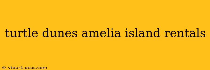 turtle dunes amelia island rentals