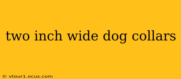 two inch wide dog collars