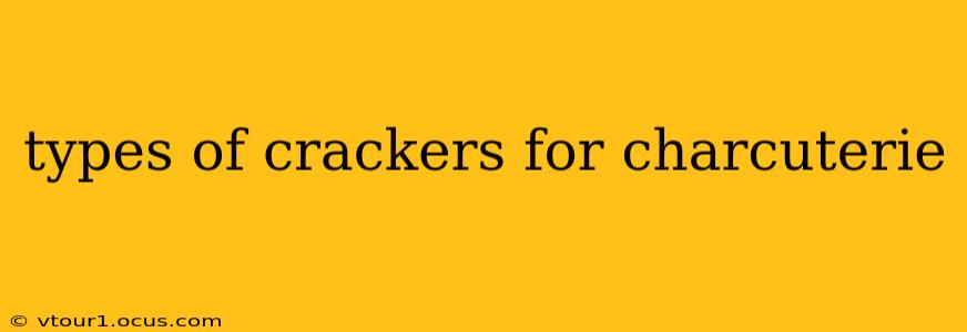 types of crackers for charcuterie