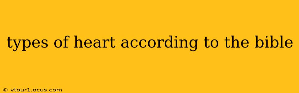 types of heart according to the bible