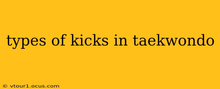 types of kicks in taekwondo