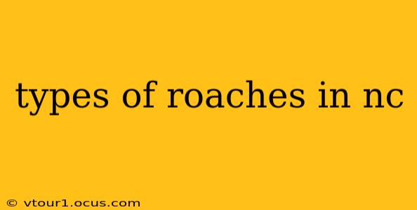 types of roaches in nc