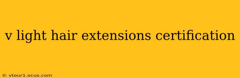 v light hair extensions certification