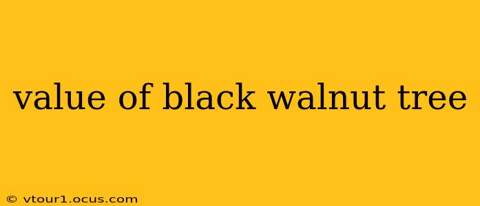 value of black walnut tree