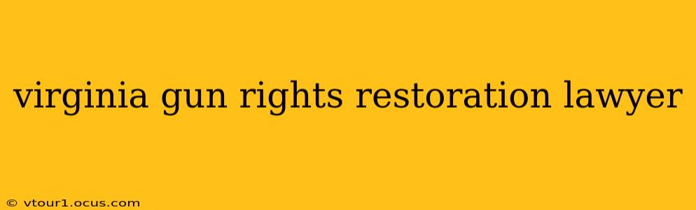 virginia gun rights restoration lawyer