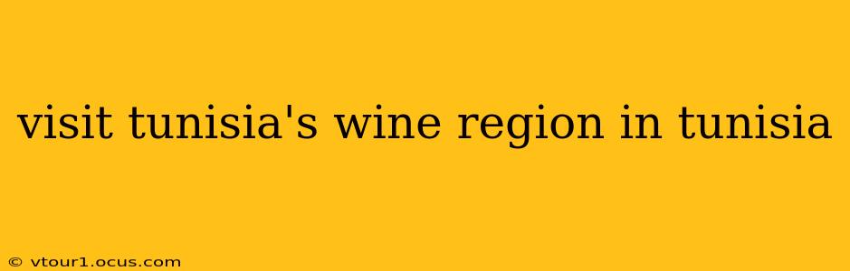 visit tunisia's wine region in tunisia