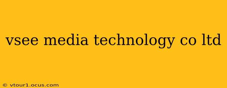vsee media technology co ltd