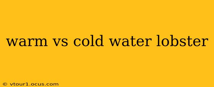 warm vs cold water lobster