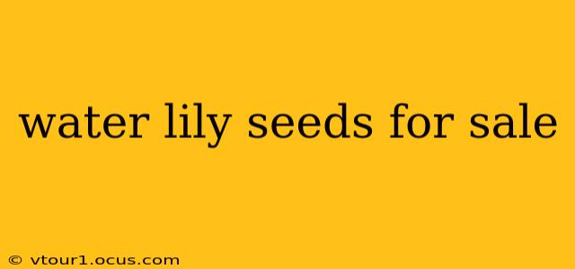 water lily seeds for sale