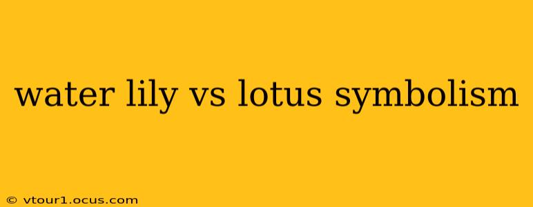 water lily vs lotus symbolism