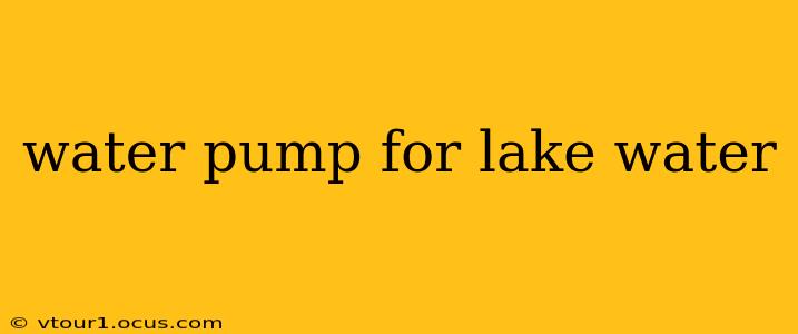 water pump for lake water