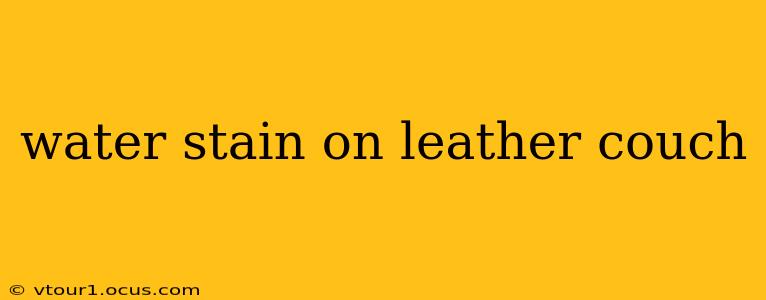 water stain on leather couch