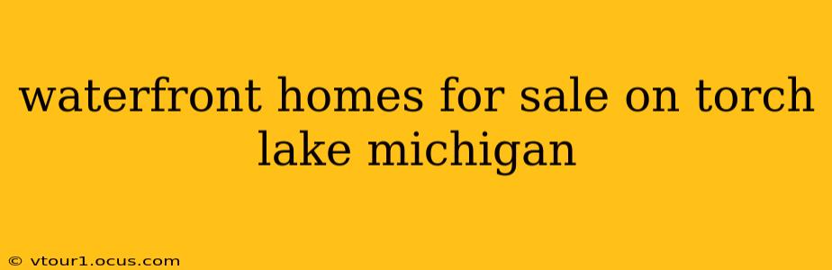 waterfront homes for sale on torch lake michigan