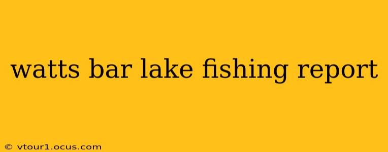 watts bar lake fishing report