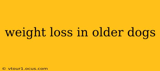 weight loss in older dogs