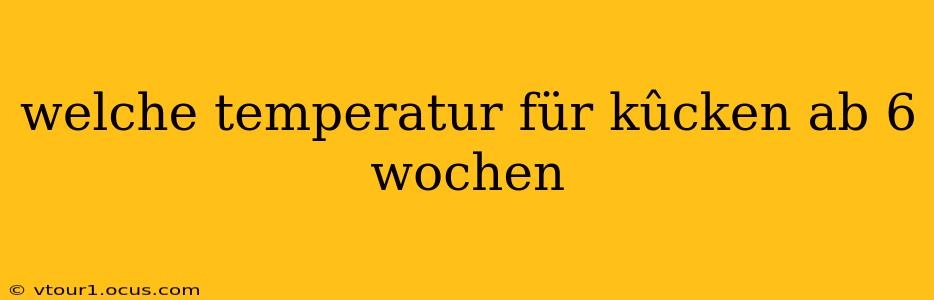 welche temperatur für kûcken ab 6 wochen
