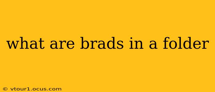 what are brads in a folder