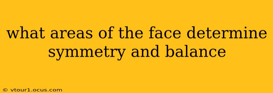 what areas of the face determine symmetry and balance