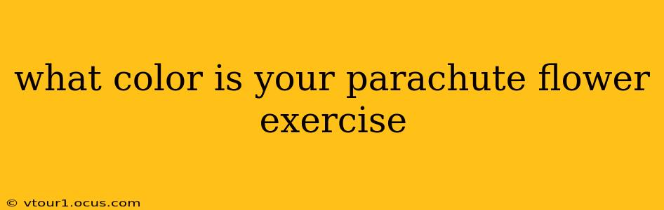 what color is your parachute flower exercise