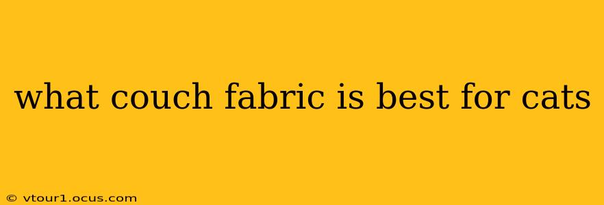 what couch fabric is best for cats