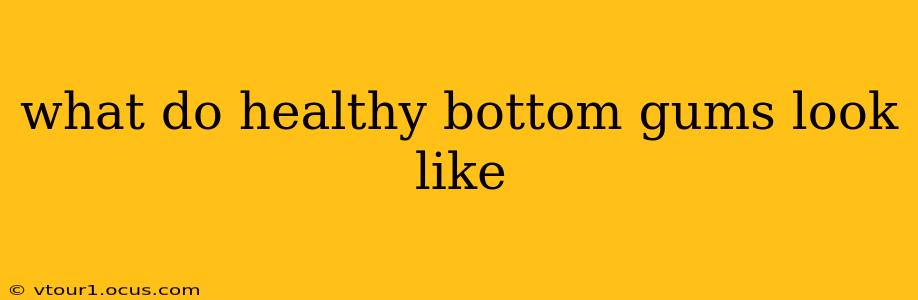 what do healthy bottom gums look like