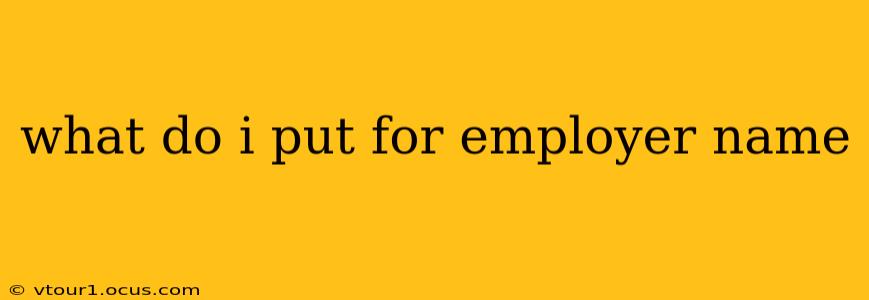 what do i put for employer name