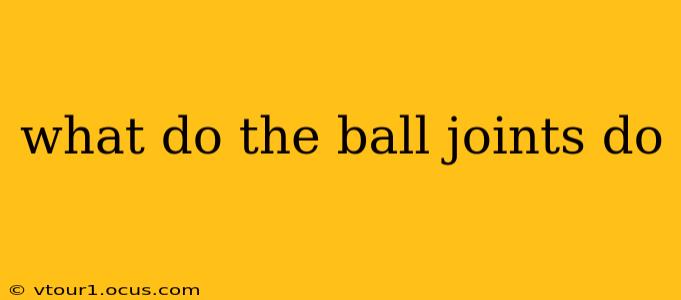 what do the ball joints do