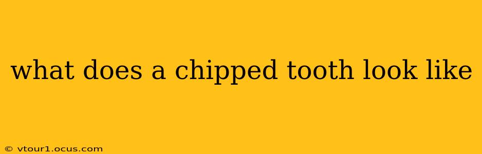 what does a chipped tooth look like