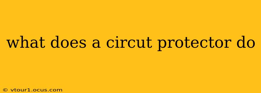 what does a circut protector do