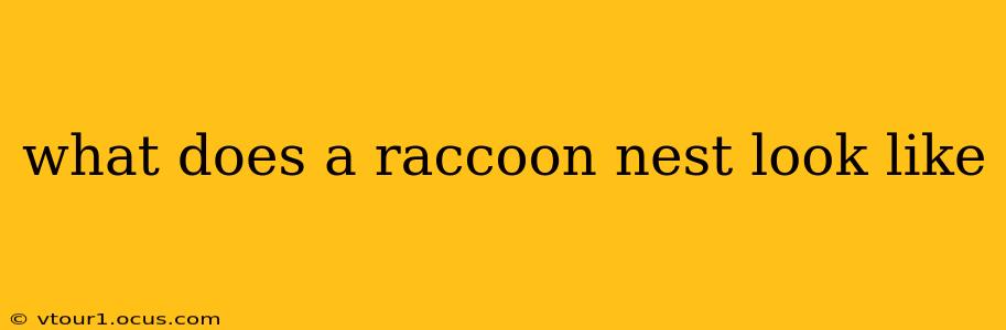 what does a raccoon nest look like