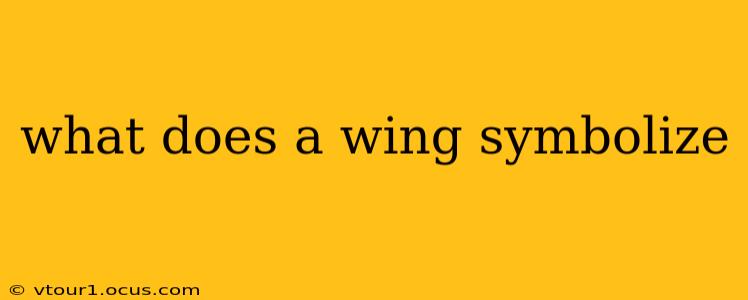 what does a wing symbolize