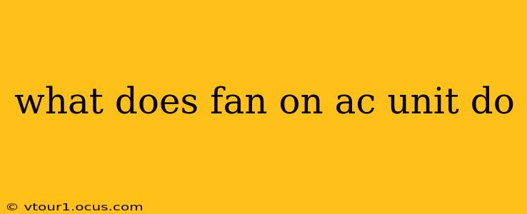 what does fan on ac unit do