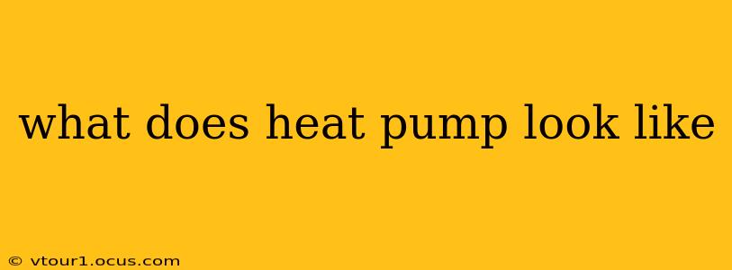 what does heat pump look like