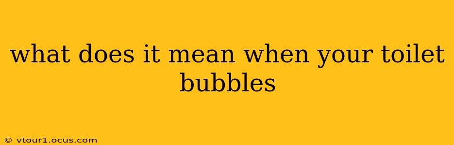 what does it mean when your toilet bubbles