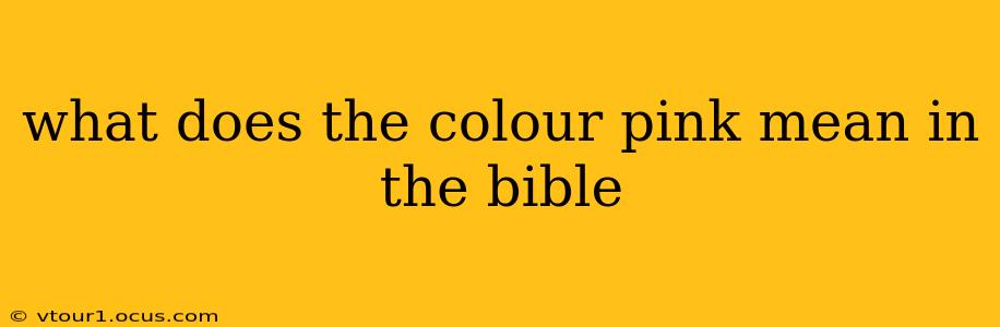 what does the colour pink mean in the bible